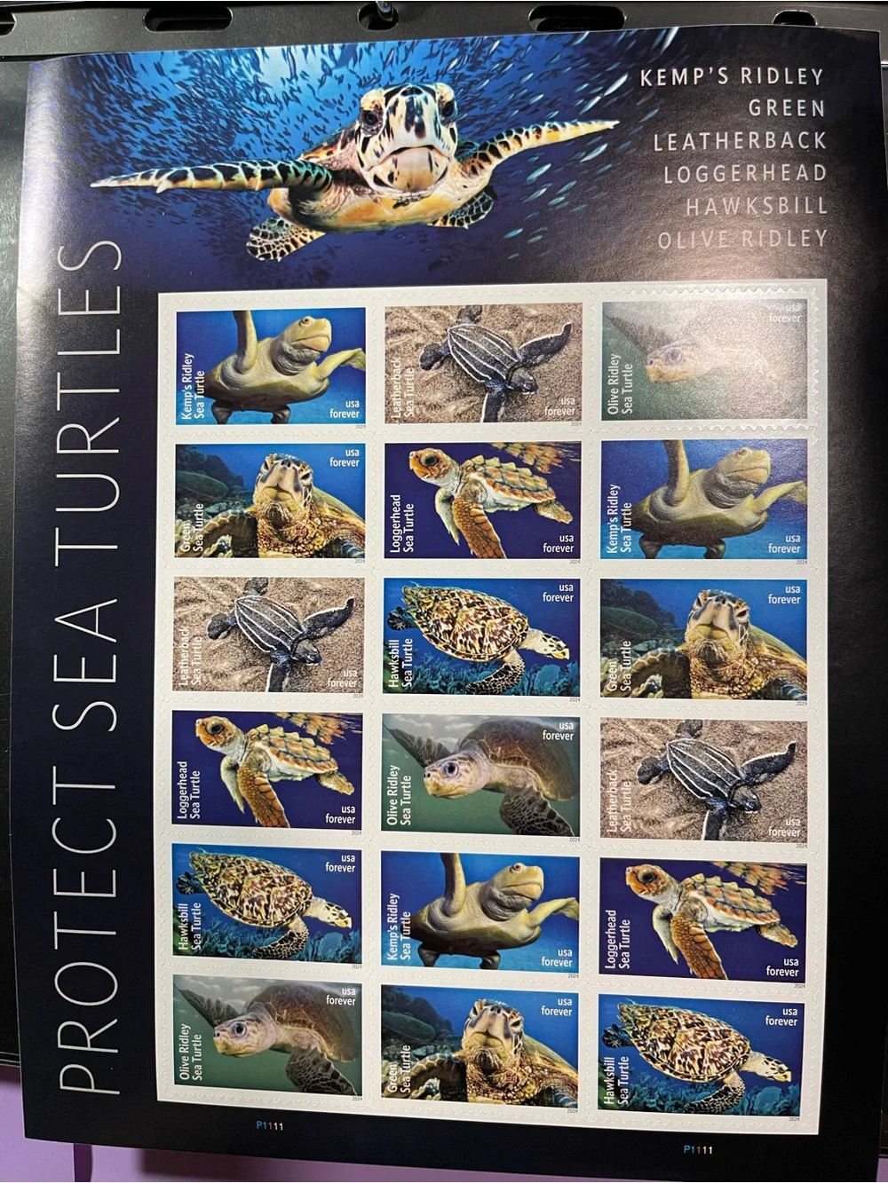 One (1) PROTECT SEA TURTLES Forever Stamp Sheet - 18 total Stamps, MNH